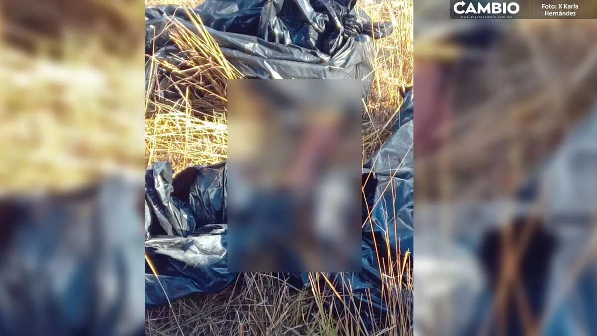 IMPACTANTE FOTO: Así hallaron los cadáveres desmembrados en Azumiatla