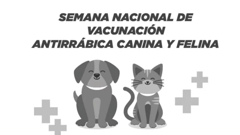 ¡No se te olvide! Esta es la semana de vacunación antirrábica en Cuautlancingo