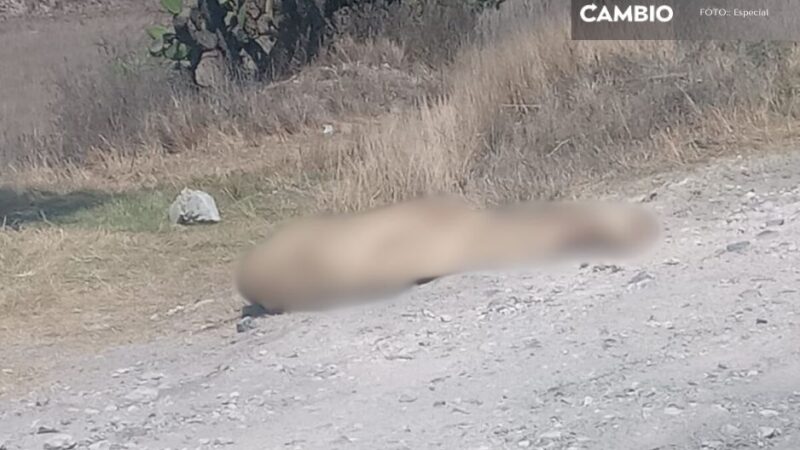 Hallan cadáver encobijado en la carretera Azumbilla-El Seco