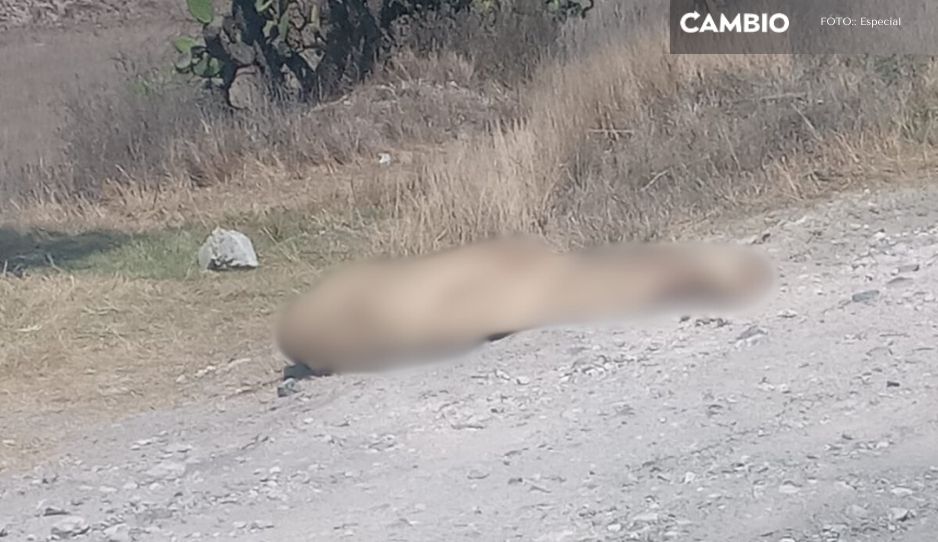 Hallan cadáver encobijado en la carretera Azumbilla-El Seco