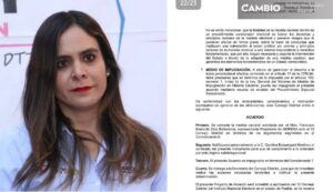 Obliga INE a Carolina Beauregard a eliminar publicidad electoral de sus redes