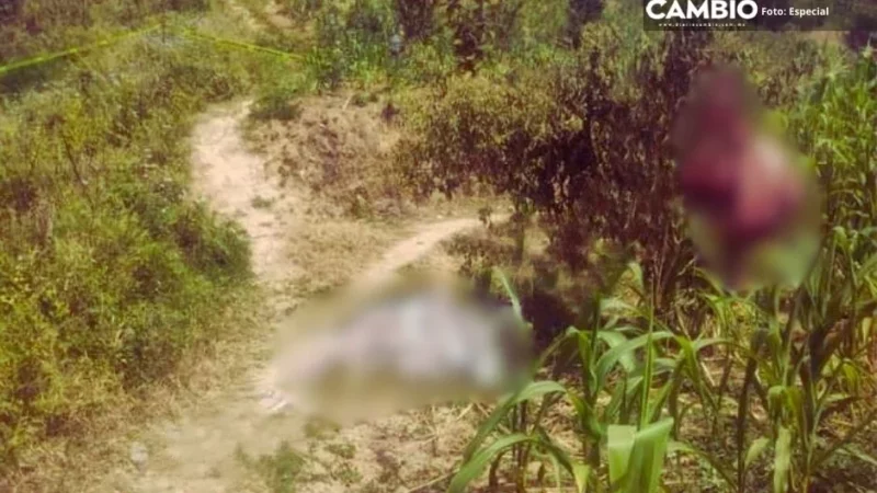 Feminicidio 14: la asesinan de dos balazos en la cara en Chiconcuautla