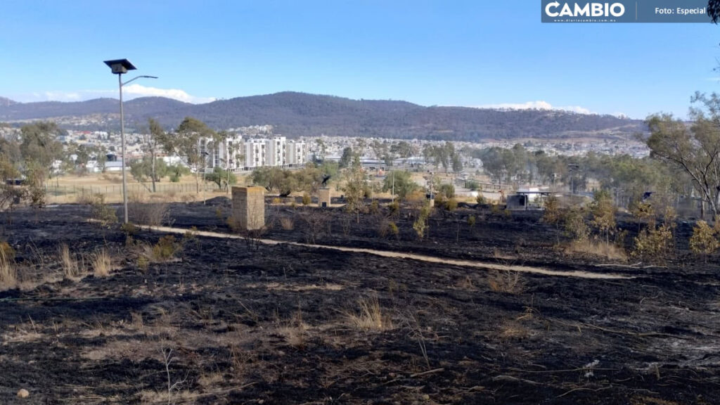 ¡Por fin! Tras más de 4 horas, sofocan incendio en el Cerro de Amalucan