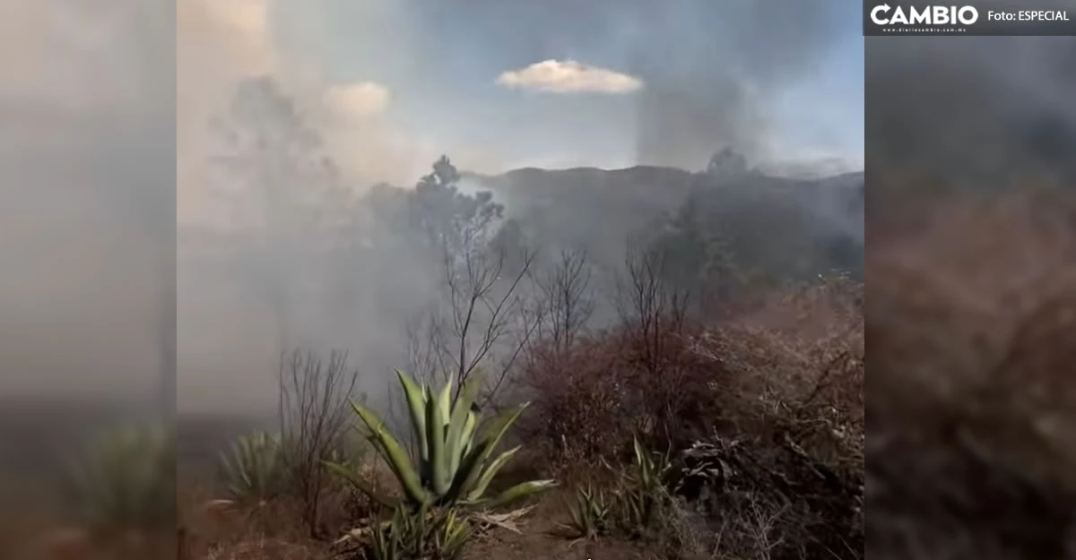 Incendio provoca más de 15 hectáreas afectadas en “Rancho Viejo”