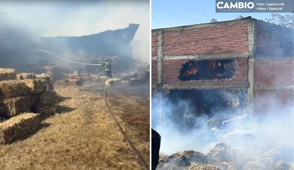 VIDEO: Arde en llamas megabodega de zacate en Chipilo