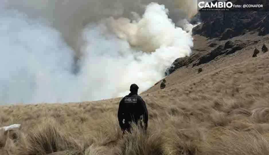 ¡Alerta! Reportan dos incendios forestales activos en Puebla