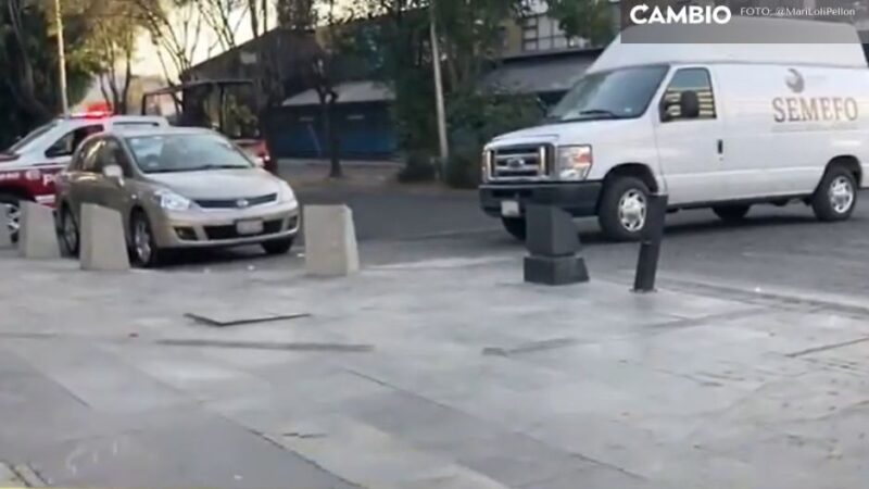 Pelea entre alcoholizados deja un muerto en la Avenida Juárez