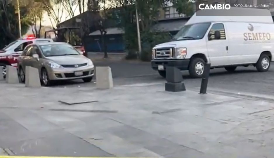 Pelea entre alcoholizados deja un muerto en la Avenida Juárez