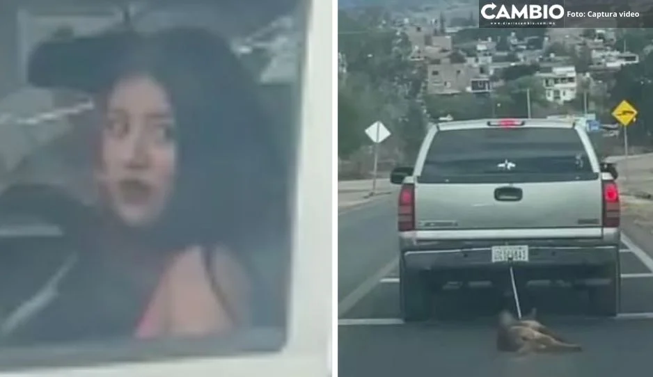 ¡Miserable! Conductora arrastra por carretera a perrita “Coqueta” (VIDEO)