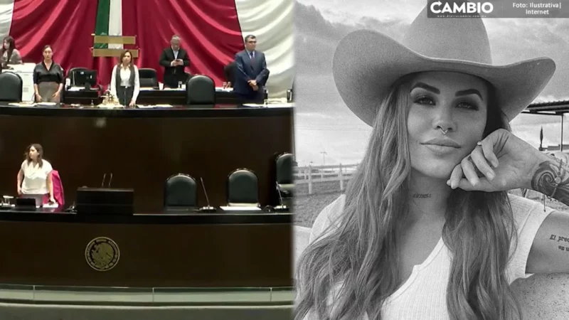 Cámara de Diputados guarda minuto de silencio por muerte de Elena Larrea (VIDEO)