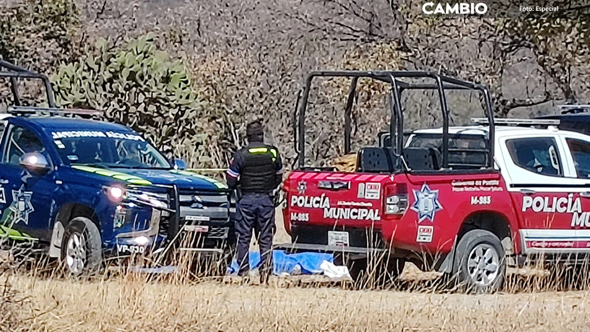 ¡De terror! Localizan tres cadáveres con mensaje amenazante en camino a Santa Cruz Alpuyeca