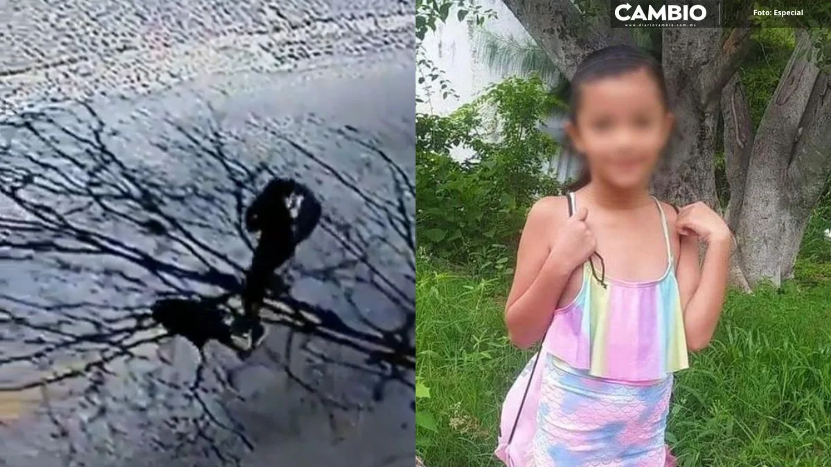 Tras golpiza, muere presunta secuestradora de la niña Camila en Taxco