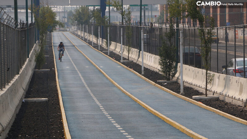 ¡Atención! Rehabilitarán ciclopista del Periférico Ecológico; estará lista en septiembre