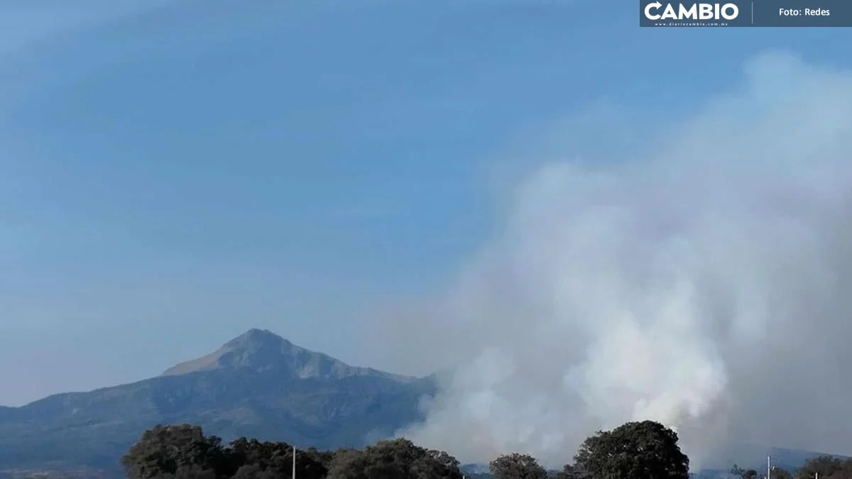 Después de 8 horas, siguen sin poder sofocar incendio en La Malinche (VIDEO)