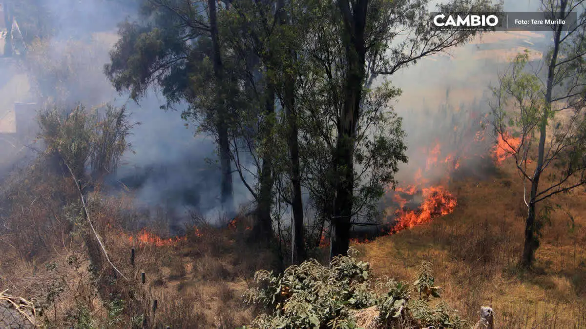 ¡Puebla en llamas! Reporta Medio Ambiente alarmante aumento de incendios forestales