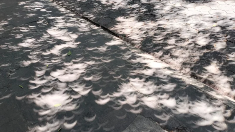 VIDEO: ¿Cómo se forman las “lunitas” en el eclipse?