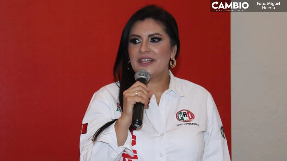Solicitan tres candidatos del PRI seguridad ante violencia en campaña: Delfina Pozos