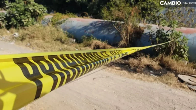 ¡Qué pu&$ miedo! Campesinos encuentran cadáver en estado de descomposición en Tehuitzingo