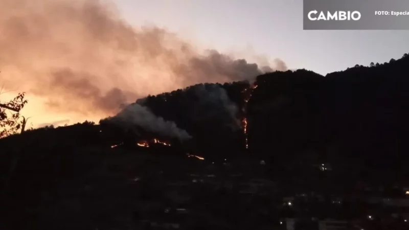 VIDEO: Incendio forestal amenaza a comunidad de Coyomeapan