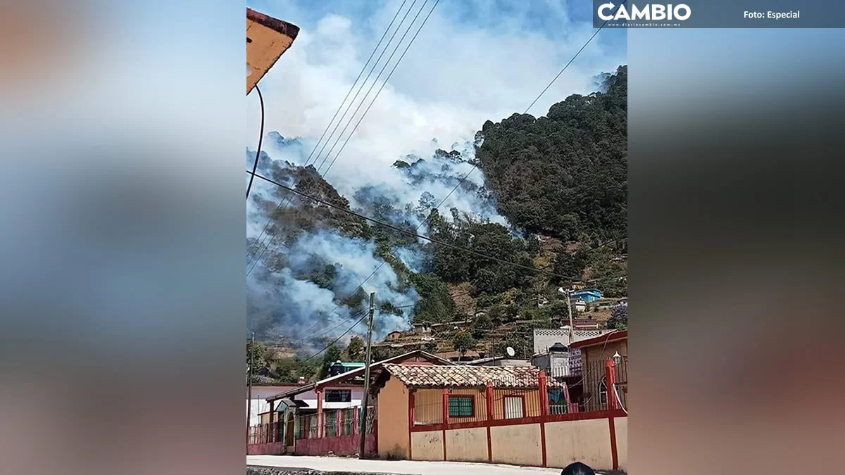 Desalojan a familias de Coyomeapan por incendio forestal (VIDEO)