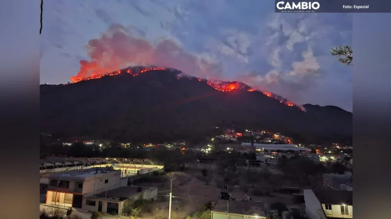 Habitantes de Tetela de Ocampo temen a perder sus casas tras incendio forestal (VIDEO)