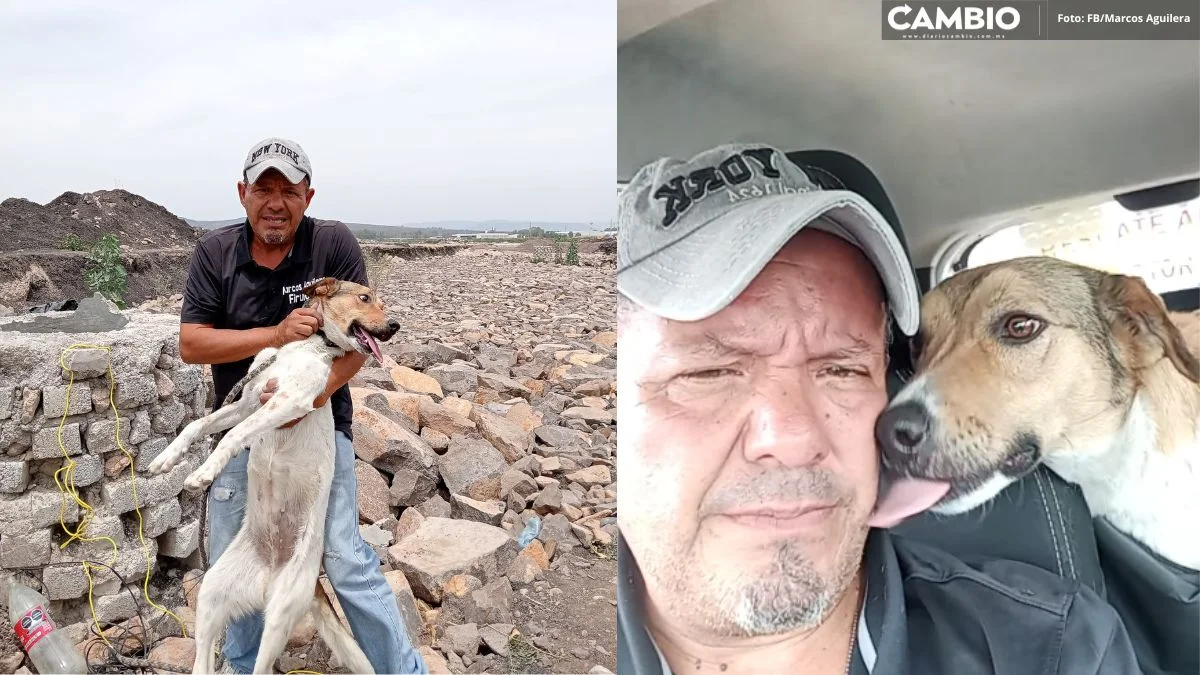 VIDEO: Así fue el emotivo rescate de “Libertad”, la perrita aventada a un pozo de Nuevo León