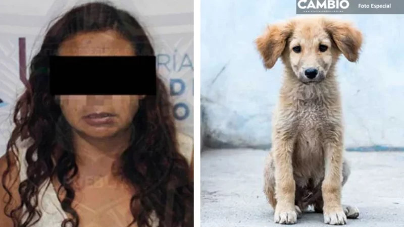 María Consuelo la “come perros” es detenida por maltrato animal