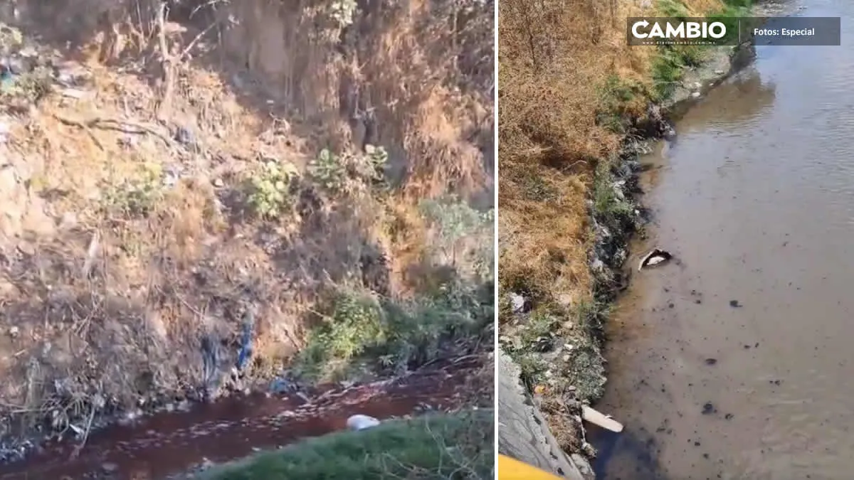 Denuncian olor a petróleo y chapopote corriendo por las aguas del río Alseseca (VIDEOS)