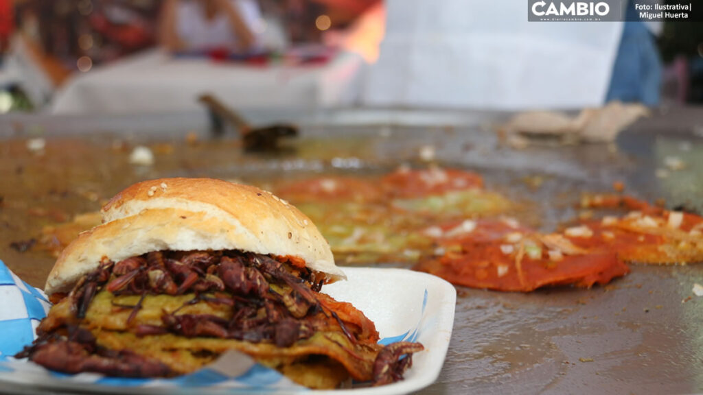 ¡A romper la dieta! Anuncian Festival de la Cemita en Puebla; checa aquí los detalles
