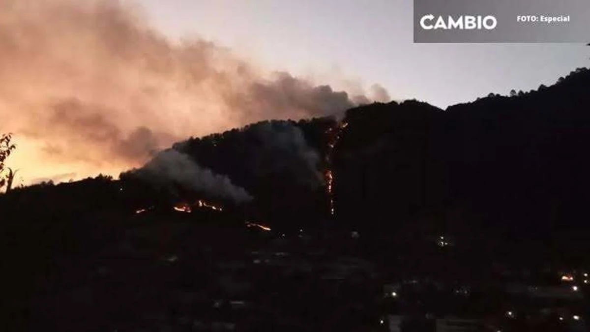 Incendio forestal en Coyomeapan: controlado en un 80% sin riesgo para la población