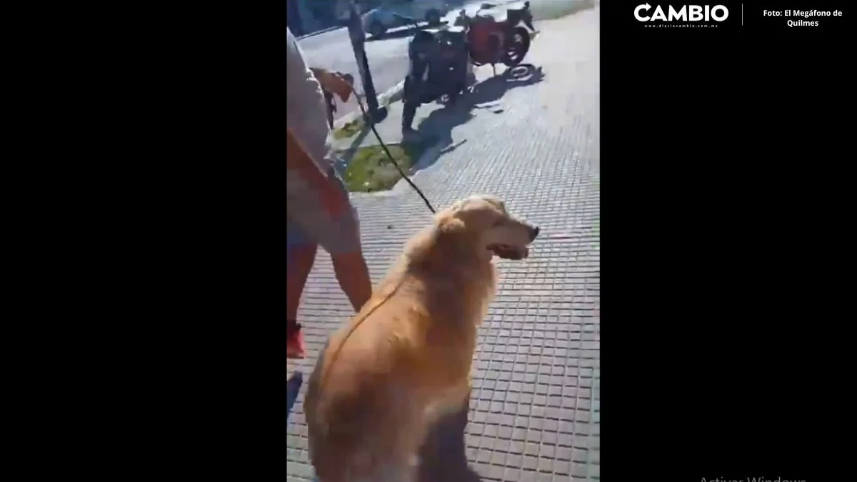 ¡Inhumana! En Argentina, mujer lleva a su perrito a la carnicería para que lo sacrifiquen por “viejo” (VIDEO)