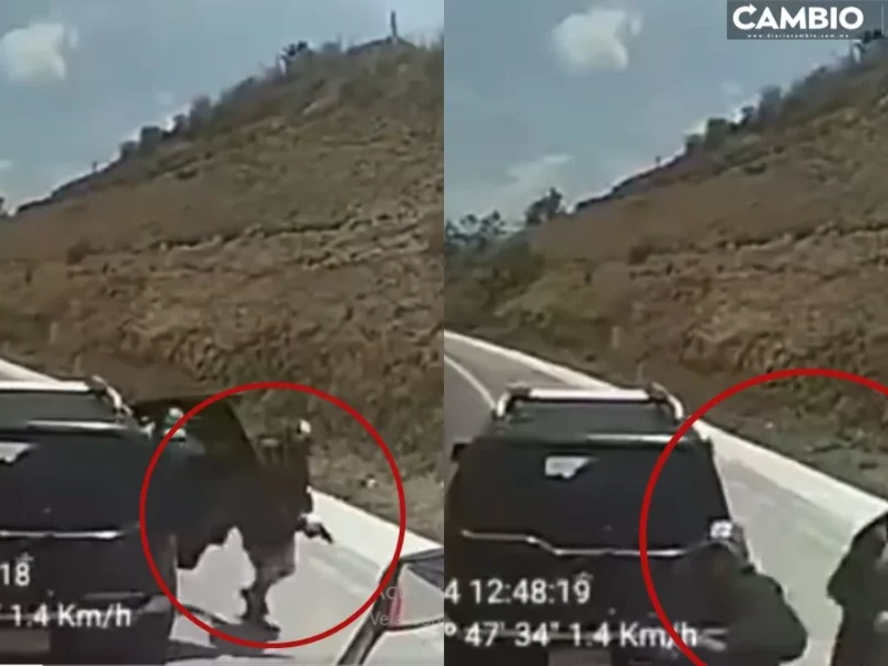 IMPACTANTE VIDEO: Comando armado encañona a trailero en la México-Puebla
