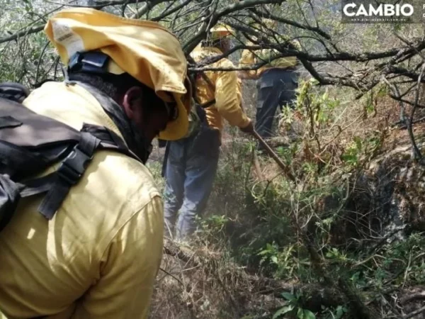 ¡Enhorabuena! Reportan cese al fuego en siete incendios forestales en Puebla