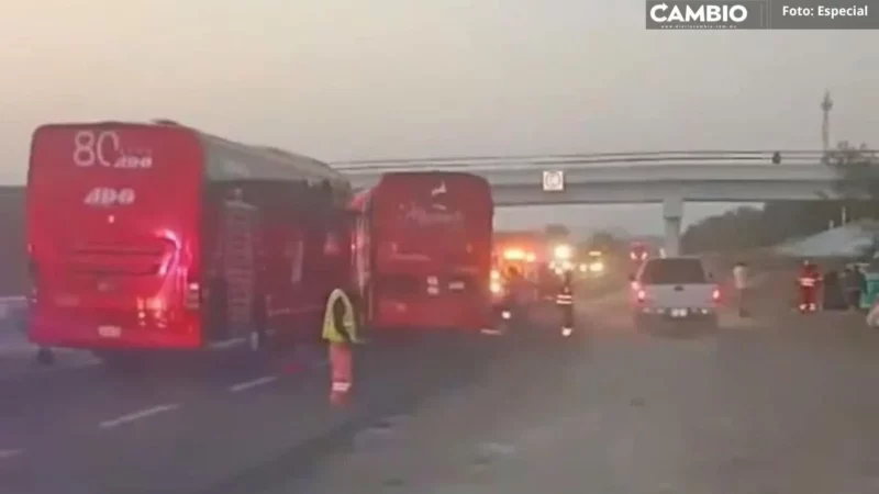 Choque de dos autobuses en Tehuacán deja a choferes gravemente heridos: uno quedó prensado (VIDEO)
