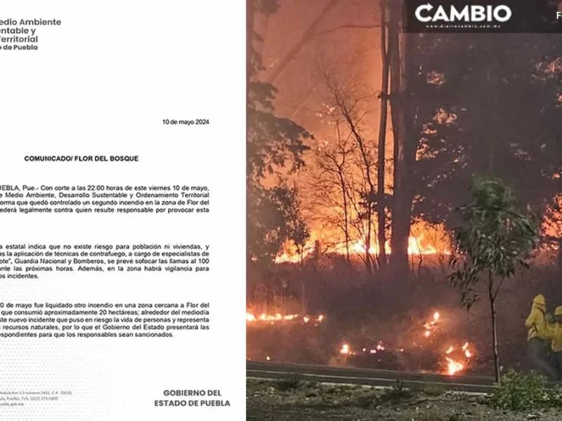 Incendio en Flor del Bosque fue provocado: Medio Ambiente  