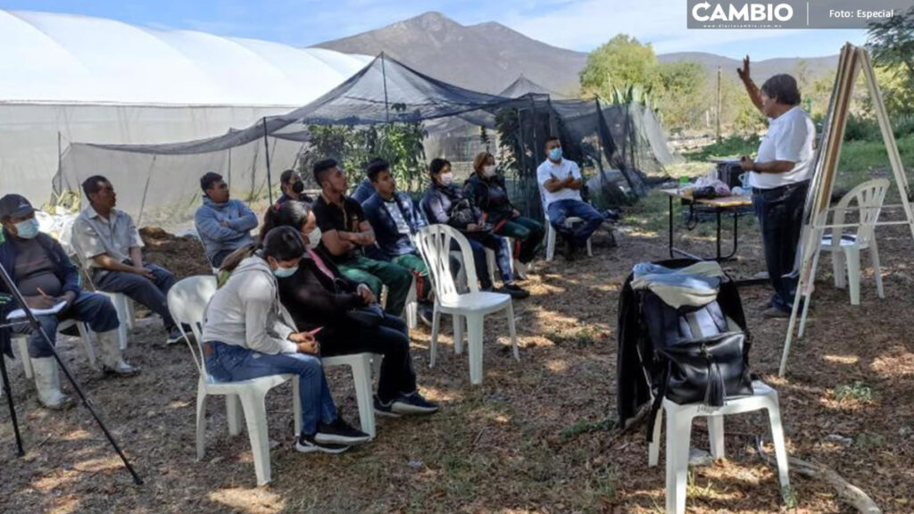 Participa BUAP con la FAO para capacitar a agricultores como “Doctores del Suelo”