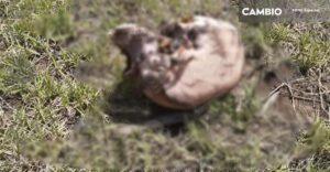 Hallan restos humanos en campo de cultivo de San Jerónimo Ocotitlan