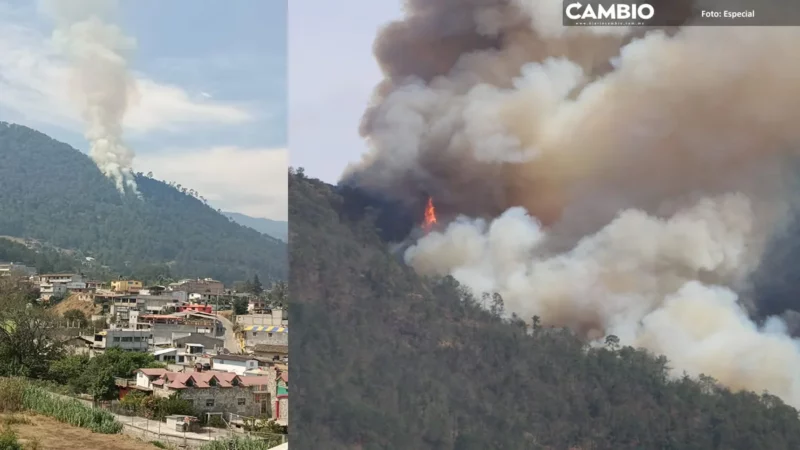 Incendios forestales en Tetela y Aquixtla fueron inducidos, habrá denuncias: Medio Ambiente