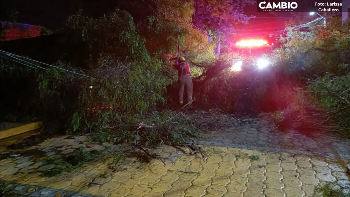 FOTOS: Tormenta eléctrica tira e incendia árboles en Tehuacán