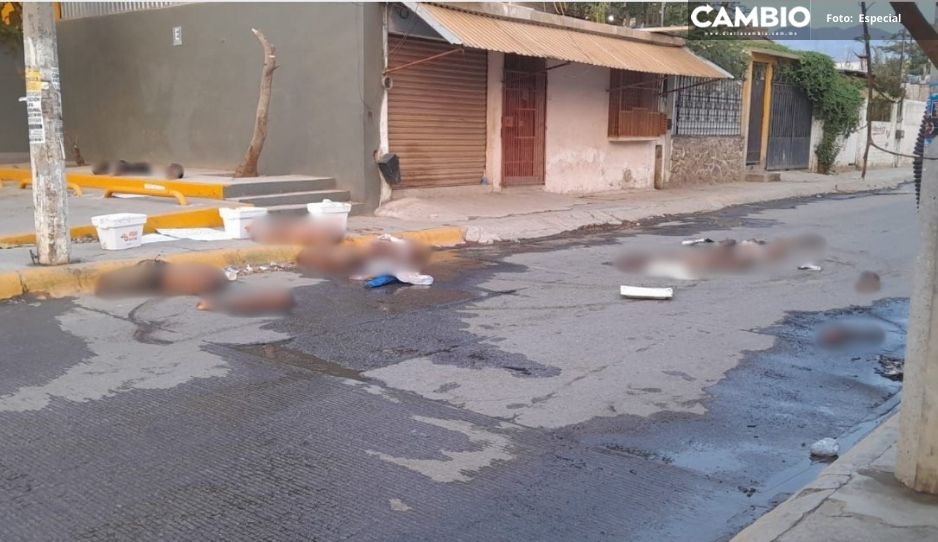 FOTOS SENSIBLES: Padres y alumnos hallan cuatro cadáveres descuartizados en Guerrero