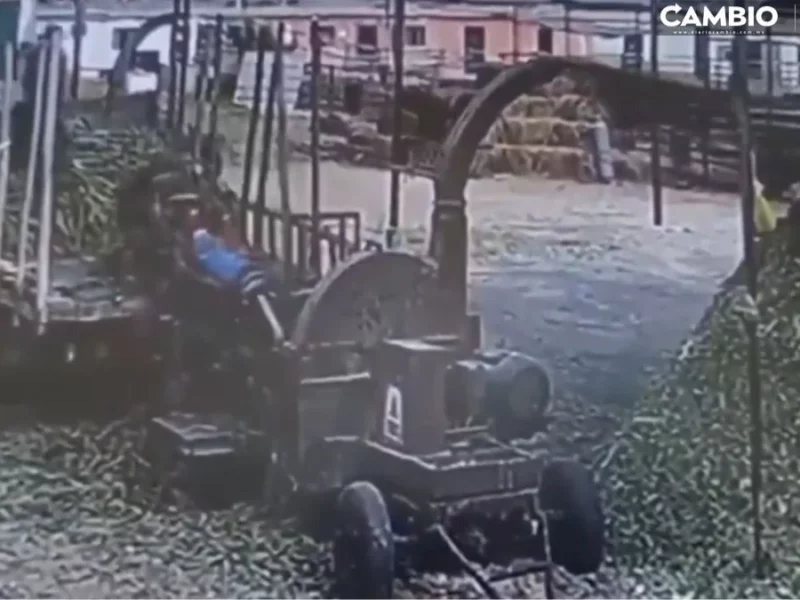 VIDEO SENSIBLE: Máquina trituradora devora a trabajador y lo despedaza