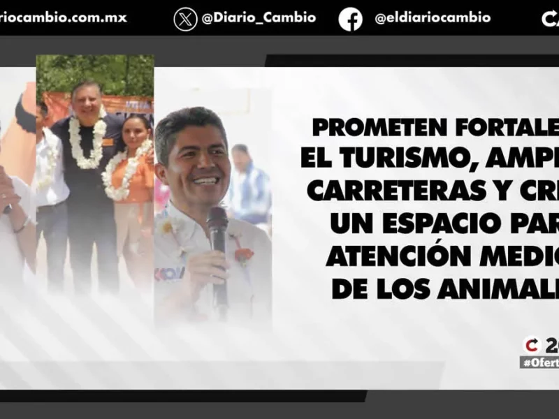 Agencia de Turismo, obras viales y una clínica para animales, nuevas promesas de Armenta, Fer Morales y Lalo