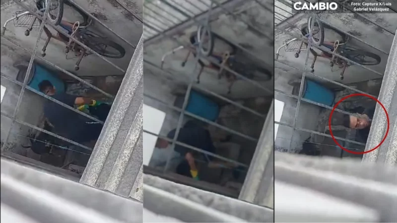 VIDEO: Malnacido golpea brutalmente a sus perritos en San Andrés Cholula