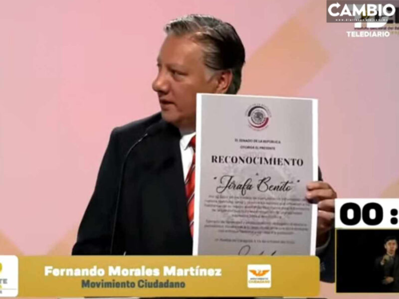 Fer Morales se pone bravo: Armenta regalas muchos diplomas, dale uno a la jirafa Benito