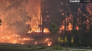 ¡Llamen a los bomberos! Se sale de control incendio en la zona de Flor del Bosque (VIDEO)