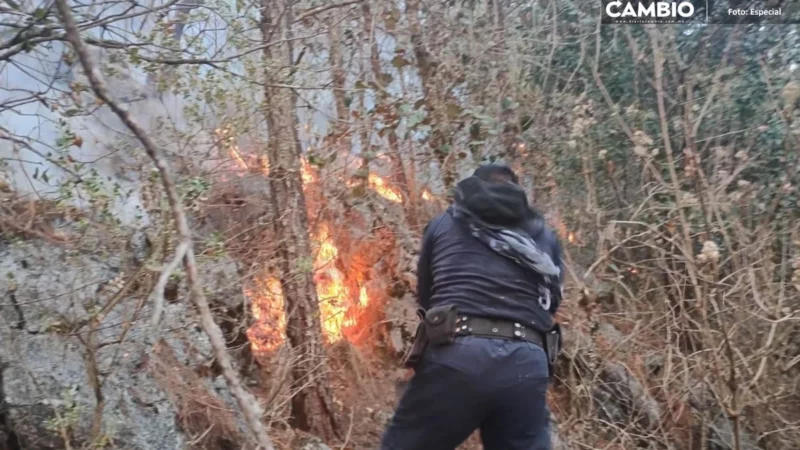 Fuerte incendio forestal arrasa con la Sierra Negra, hay tres comunidades afectadas