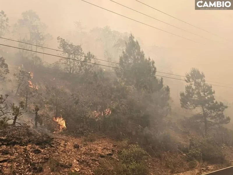 En menos de una semana, se registra segundo incendio en la Sierra Negra de Ajalpan
