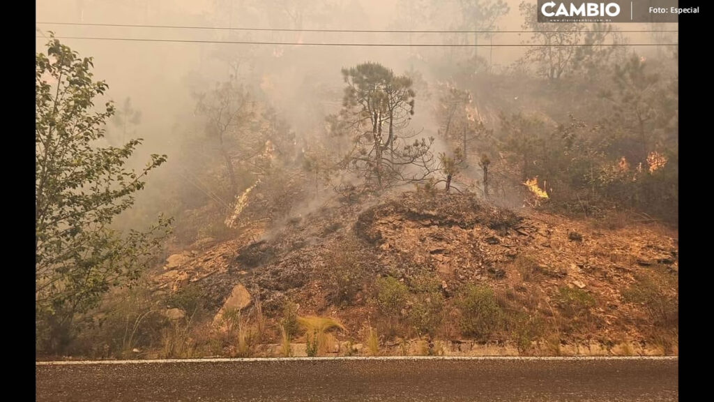En menos de una semana, se registra segundo incendio en la Sierra Negra de Ajalpan