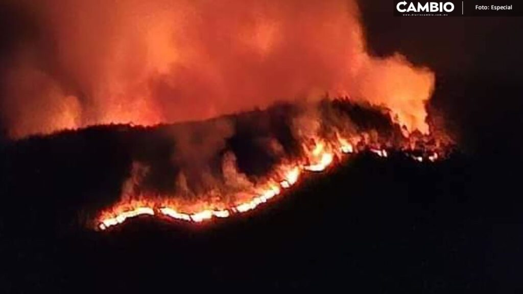 En menos de una semana, se registra segundo incendio en la Sierra Negra de Ajalpan