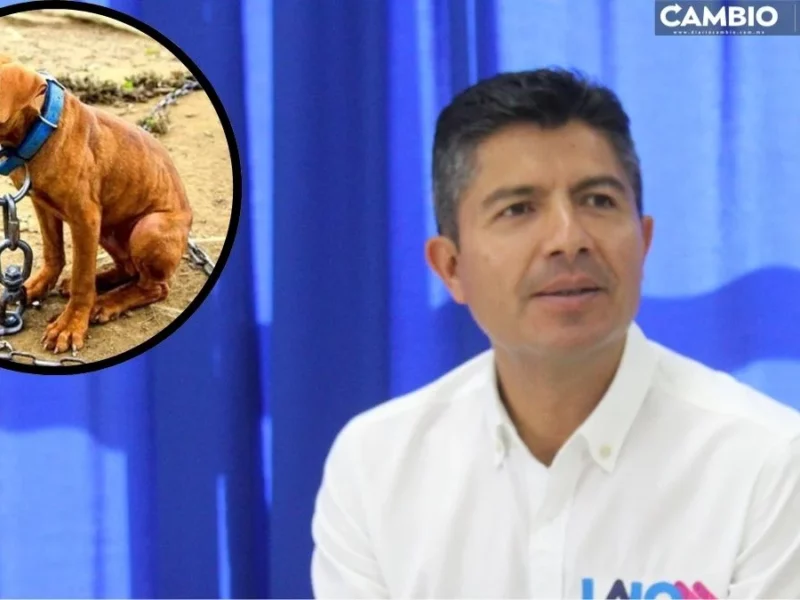 Lalo firma agenda animalista y recrimina única sentencia en Puebla por maltrato a mascotas (VIDEO)